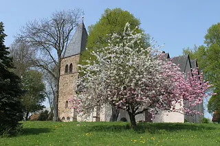 Blühender Baum hinter der Kirche